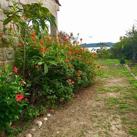 Marina Di Fiori Pezza Cardo * Porto Vecchio